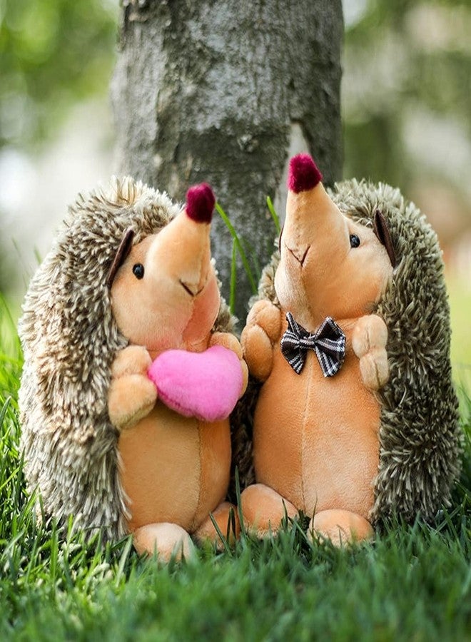 Toyshine 17cm Cute Soft Hedgehog Stuffed Plush Toy Wildlife Zoo Animal Desert Hedgehog Plush Toys, Velentine Gift for Girls Birthday Gift for Kids & Animal Lovers - Image 4